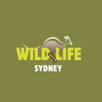 WILD LIFE Sydney